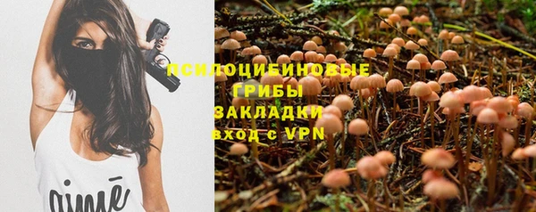 ПСИЛОЦИБИНОВЫЕ ГРИБЫ Абаза