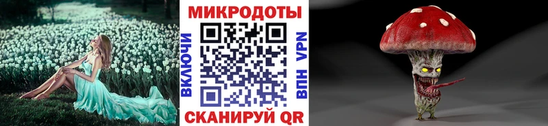 купить  сайты  Новомичуринск  Псилоцибиновые грибы GOLDEN TEACHER 